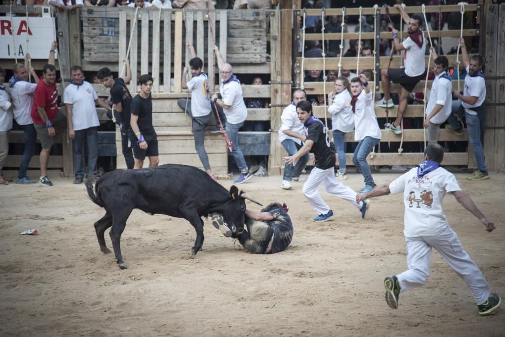 Corre de bou de diumenge a Cardona