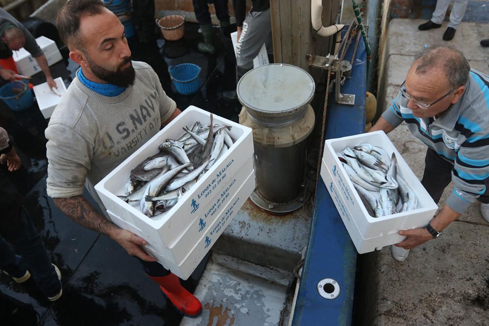 Tan solo cinco compradores y un barco se encargan de llevar el marisco y el pescado de arrastre cada día a la mesa de los malagueños donde la merluza y las gambas son las grandes protagonistas.