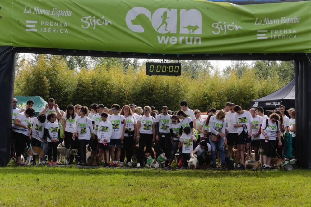 "Can We Run" reúne a más de 400 perros y corredores en el Parque Fluvial de Viesques, en Gijón.