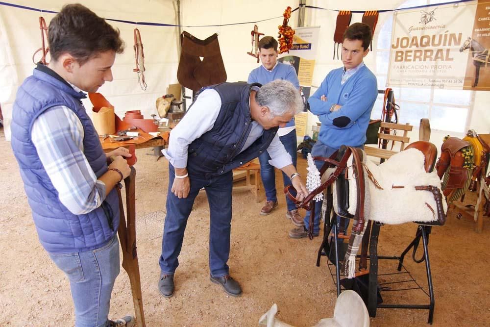 El caballo y su oficios en el Alcázar