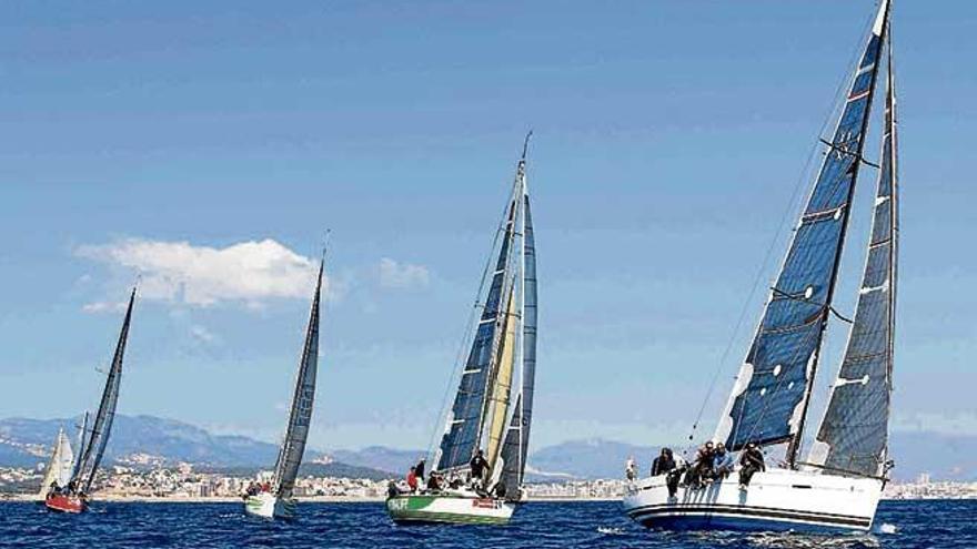 Todo está a punto en la bahía para el inicio de las regatas.