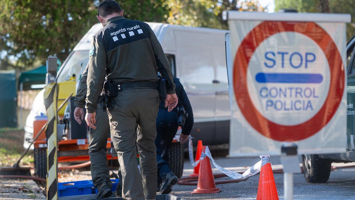 Efectivos de la UME en la zona en cuarentena por la Peste Porcina Africana en Torrefarrussa