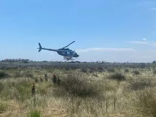 Fumigaciones aéreas para evitar que los mosquitos hagan estragos este verano