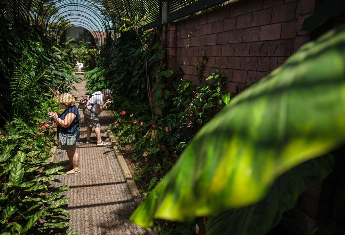 La vida secreta de las plantas