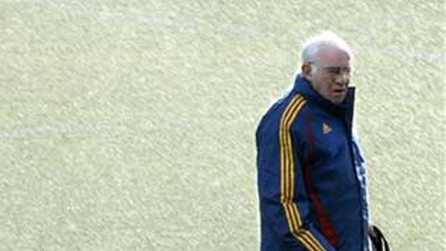 Luis Aragonés prueba equipo de cara al partido con Dinamarca