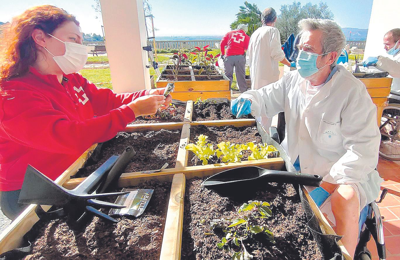 Trabajar al aire libre y con sol, tocar la tierra y la textura de las plantas, la mejor de las medicinas.