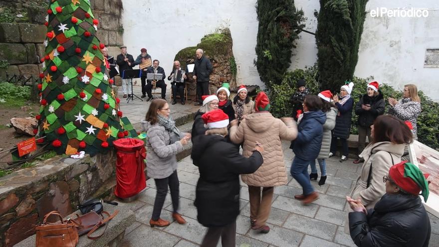 Inauguración del árbol navideño de la asociación vecinal Ciudad Monumental de Cáceres