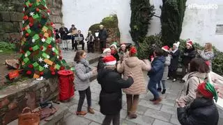 Los vecinos de ciudad monumental inauguran su árbol de Navidad con un homenaje a las mujeres de 'Flores en Caleros'