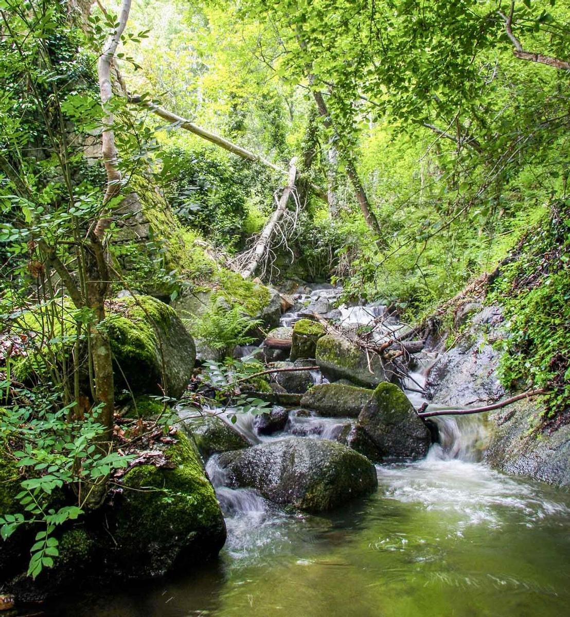 El Valle del Ambroz, naturaleza a rabiar