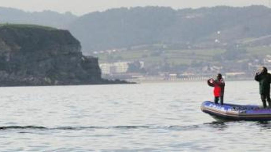 Los técnicos liberan a la ballena jorobada.