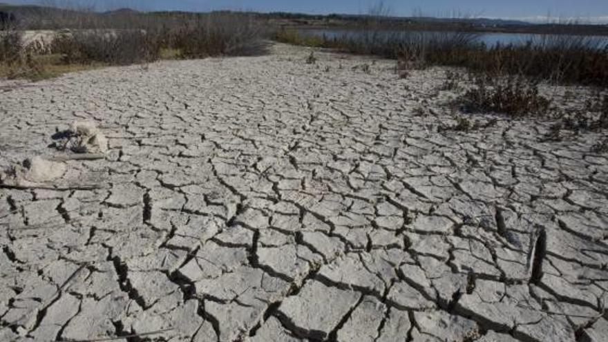 En la Vega Baja se han recogido sólo 150 litros en 2017.