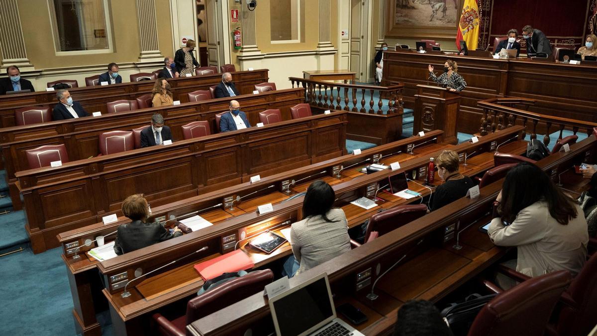 Pleno en el Parlamento de Canarias este miércoles.