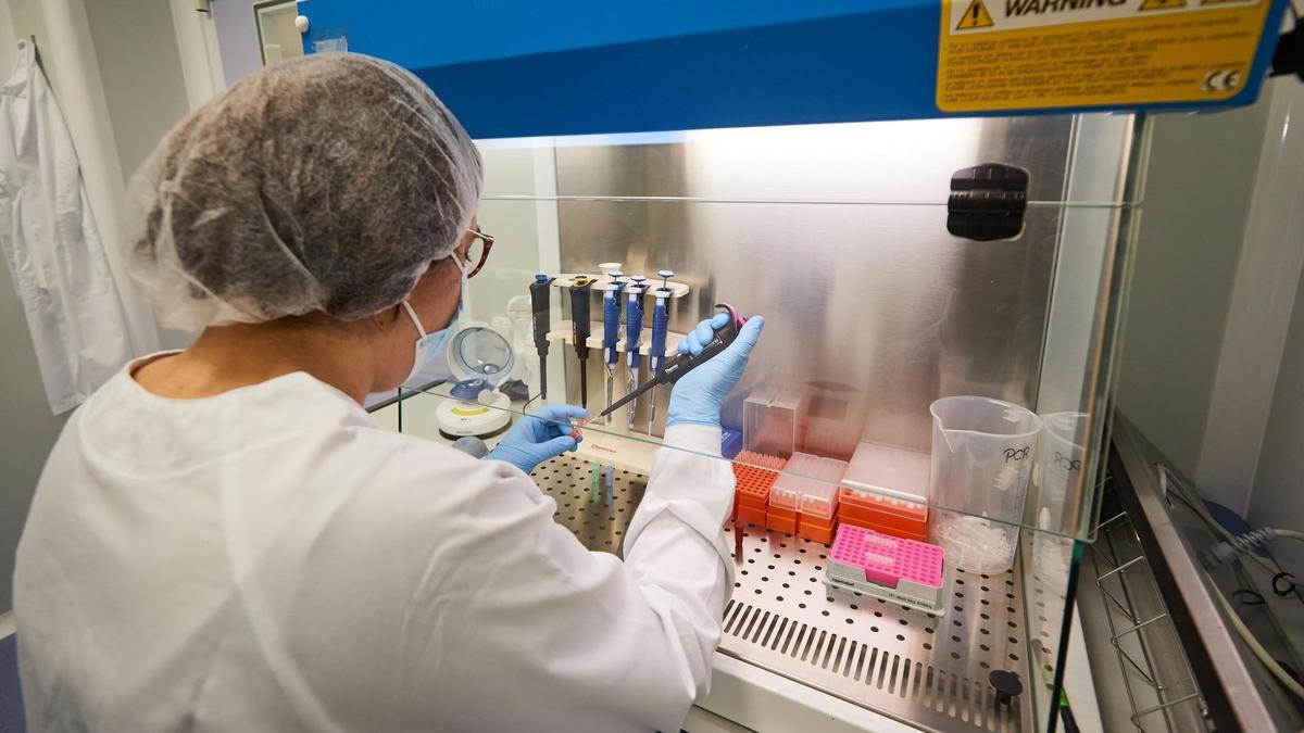El grupo gallego Zendal, a través de su filial Biofabri, avanza en un nuevo tratamiento para evitar que reaparezca el cáncer de vejiga