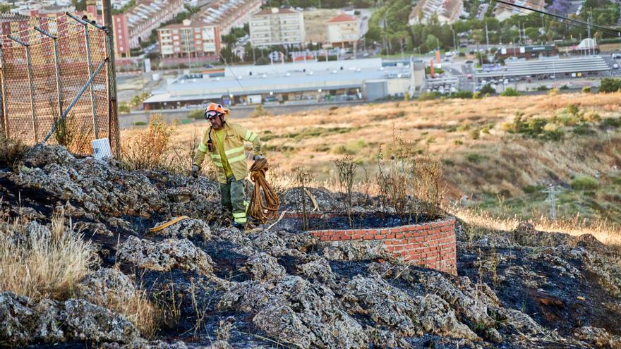 Matar alacranes en Cáceres