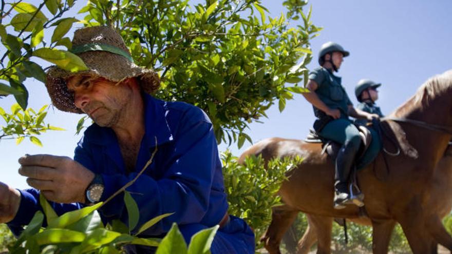 Un agricultor trabaja en el campo mientras una patrulla de la Guardia Civil vigila la zona.