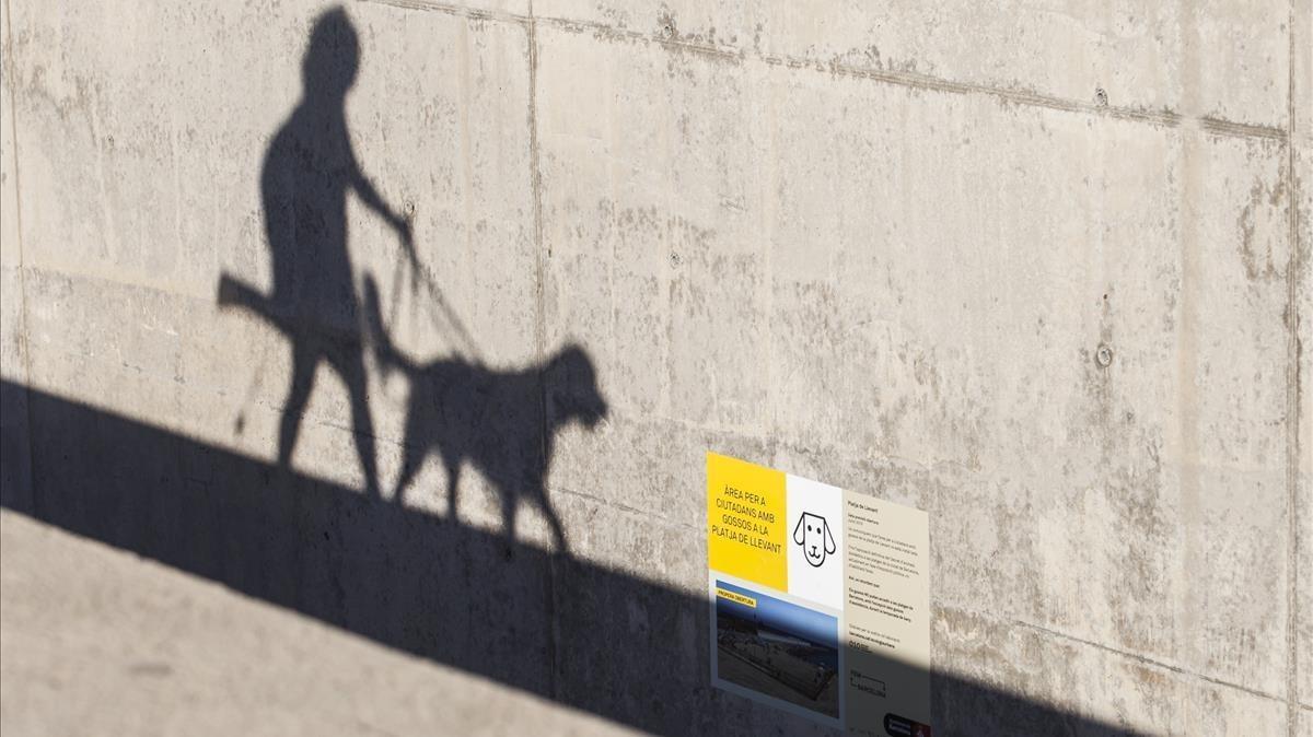 Una persona pasea a su perro, en una foto de archivo.