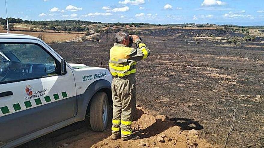 Un agente medioambiental observa con los prismáticos el alcance del incendio forestal.