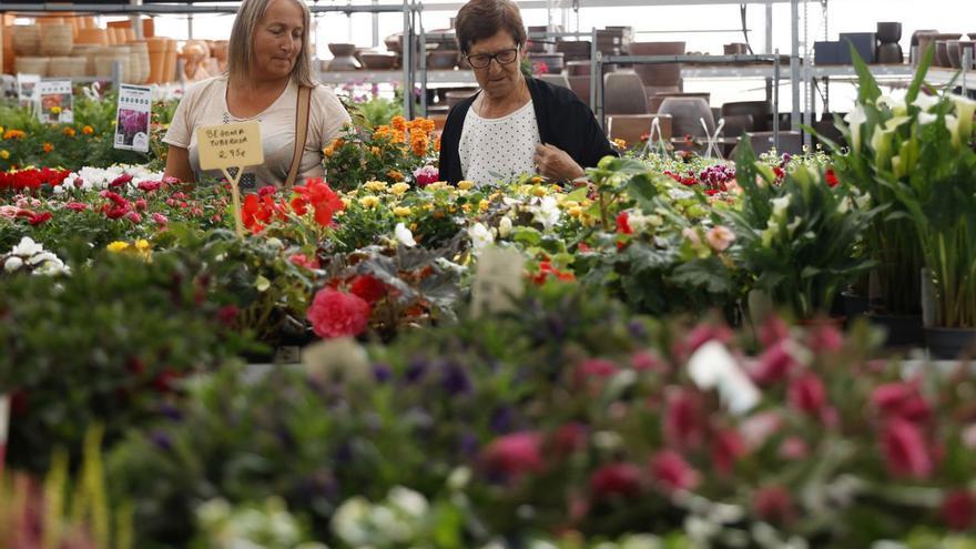 Galicia quiere ser líder de las plantas decorativas para Europa