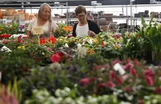 ¿Por qué los viveros de planta ornamental podrían quintuplicar su negocio en Galicia?