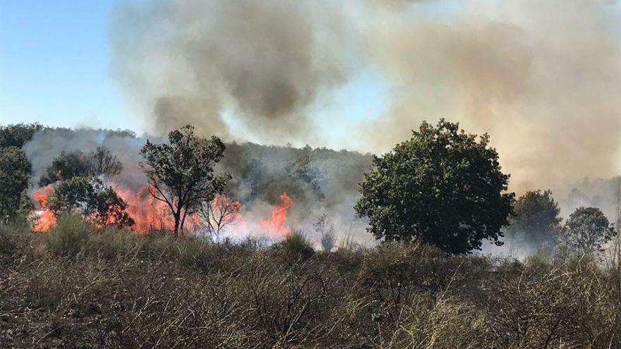 Incendio reciente en Grisuela, en la comarca de Aliste