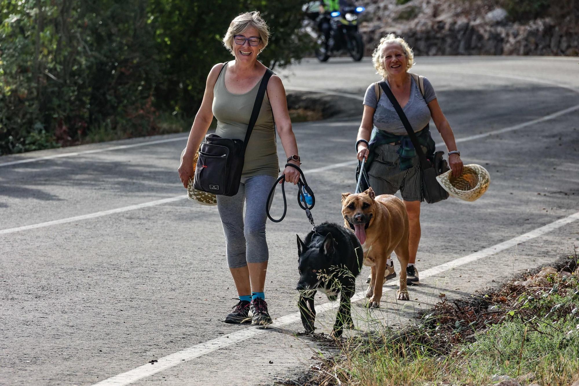 Romería a la Ront Roja