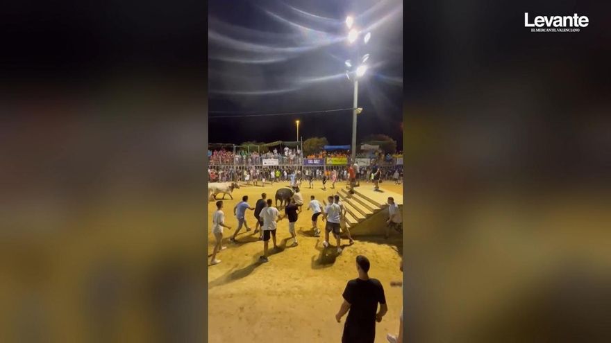 Una sobrecogedora embestida en los toros de Sagunt acaba en un gran susto