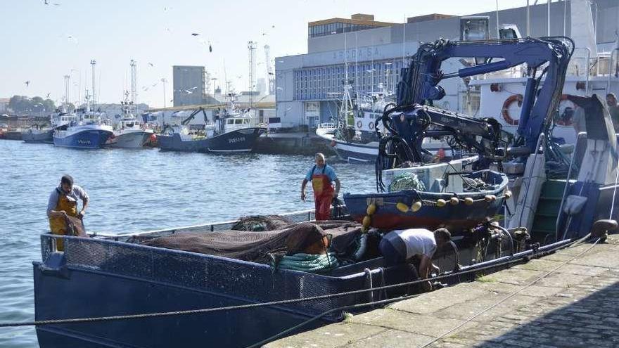 Embarcaciones del cerco amarradas en el puerto de A Coruña.