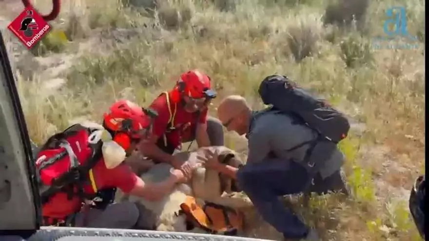 Rescatan a un mastín de 80 kilos que estaba exhausto en una ruta de la Vall de Gallinera (vídeo)