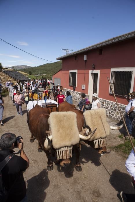 Boda vaqueira en Ariestebano