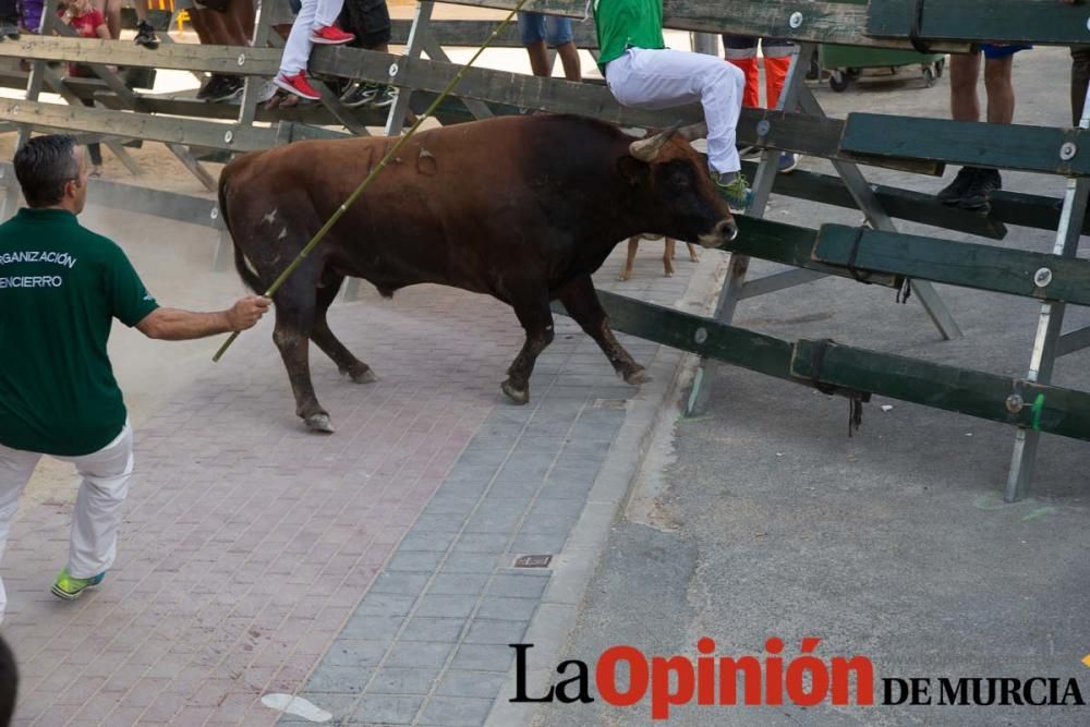 Tercer encierro en Calasparra