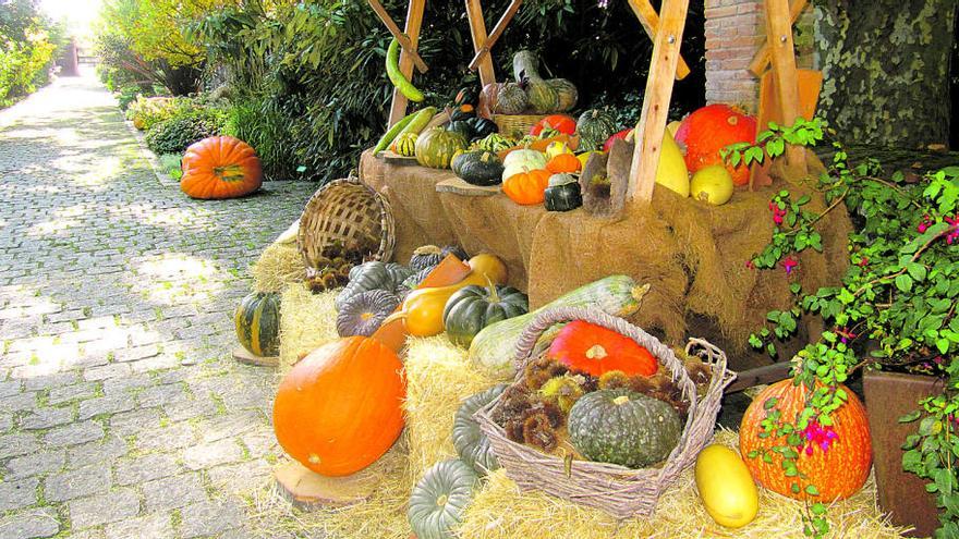 Exposición de calabazas en el Jardín Botánico.