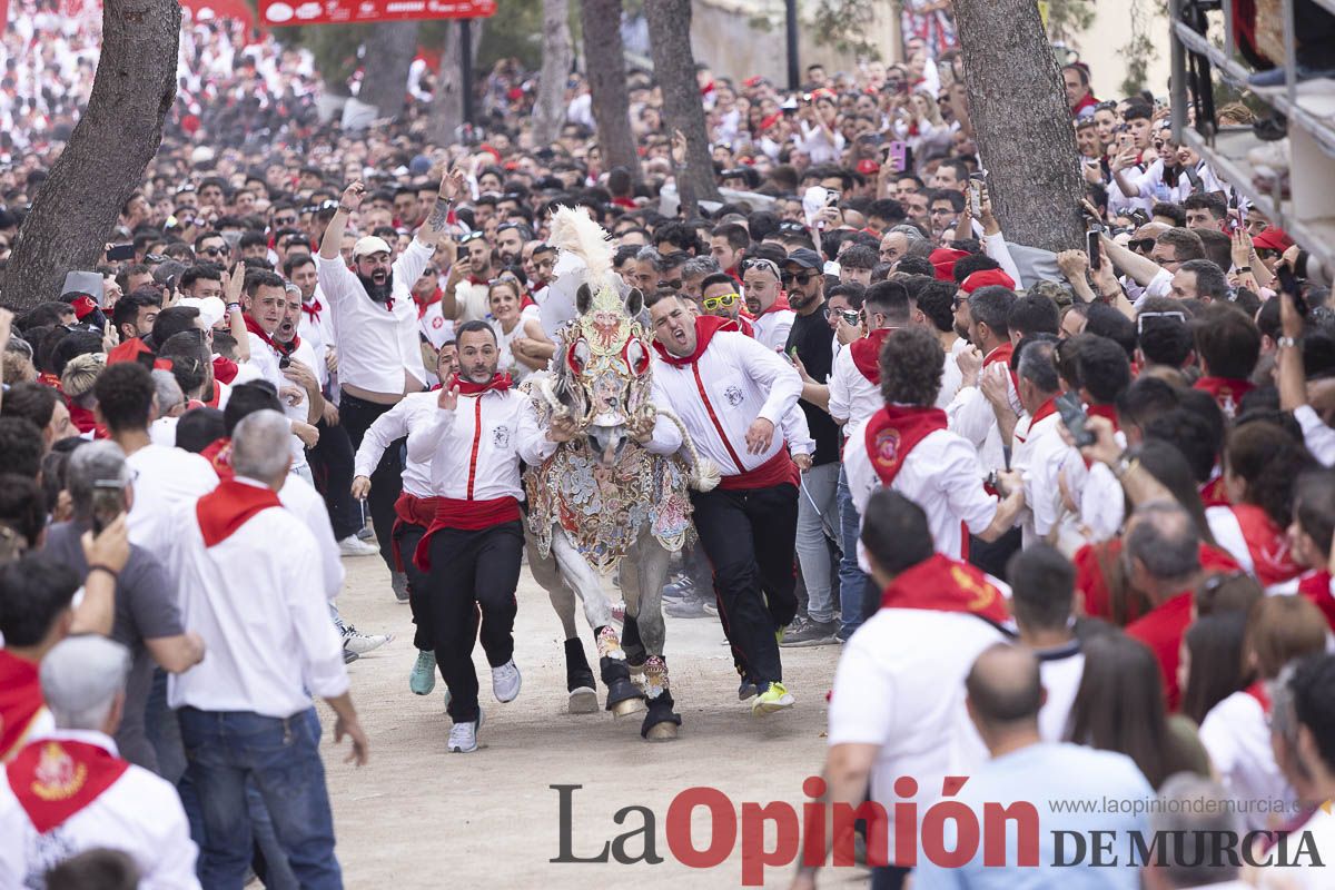 Así se ha vivido la carrera de Los Caballos del Vino en Caravaca