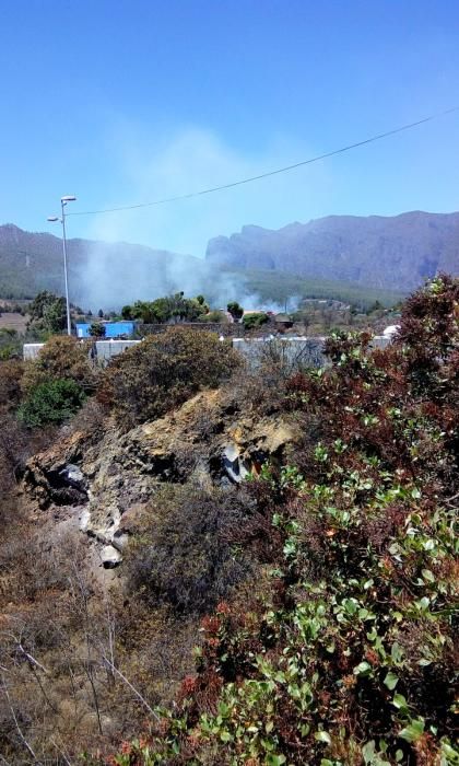 Conato de incendio en La Palma