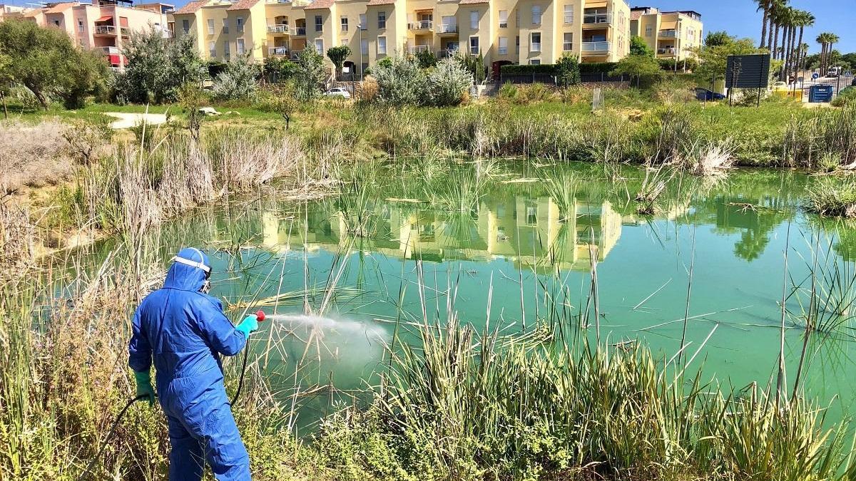 El virus del Nilo Occidental en España: el gran aliado del cambio climático