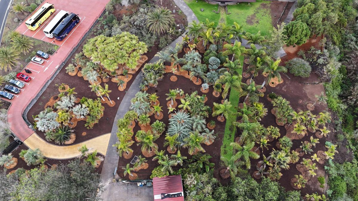 Vista aérea de una de las entradas al Jardín Canario tras las labores de embellecimiento.