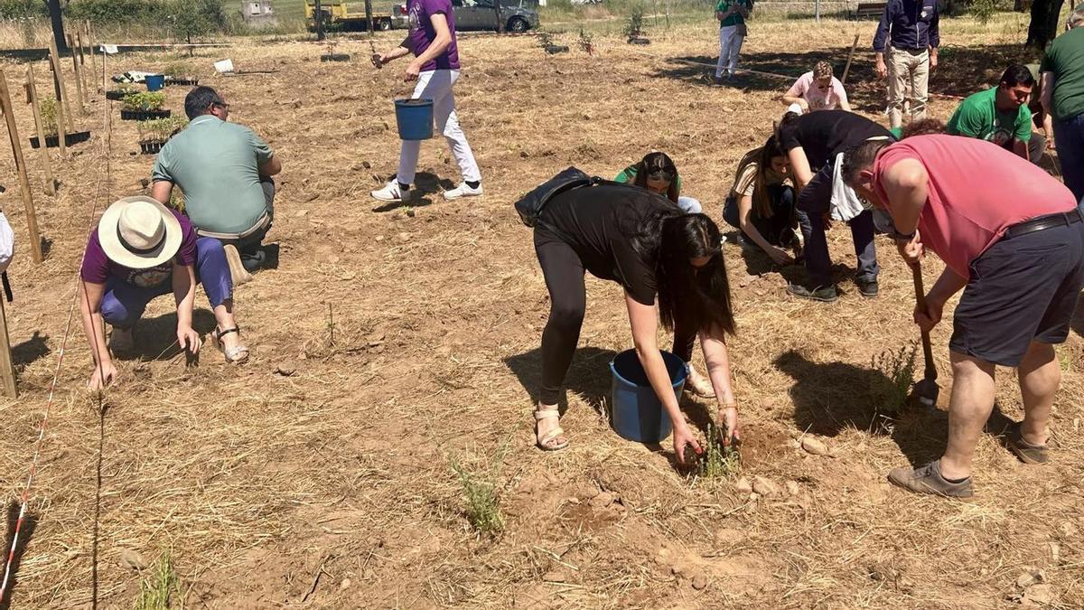 Una actividad de medioambiente, celebrada en Alagón del Río, recientemente.