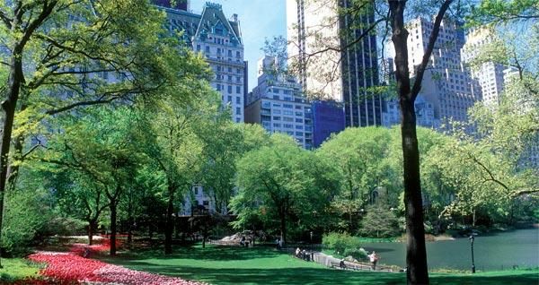 Nueva York, Bali y Tokio