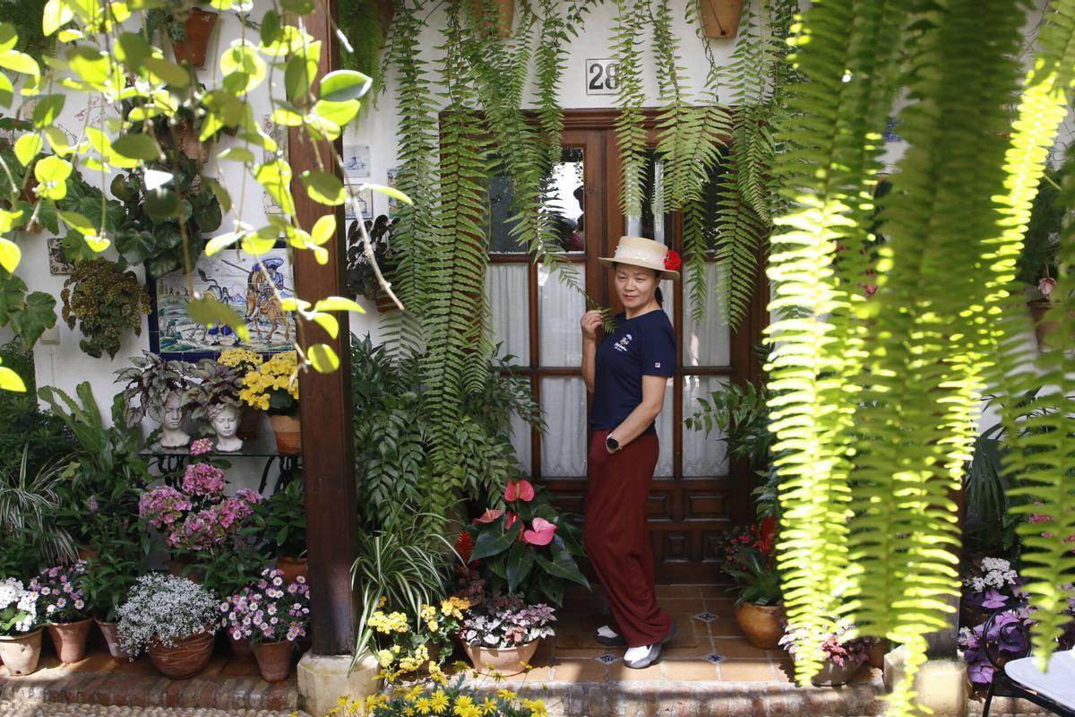Las últimas visitas a los Patios de Córdoba 2026