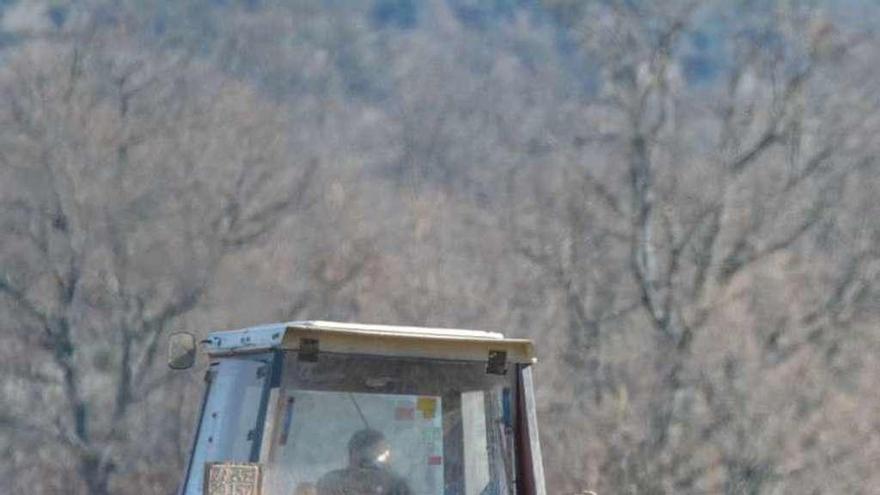 Un tractor siembra en una tierra de Sayago.