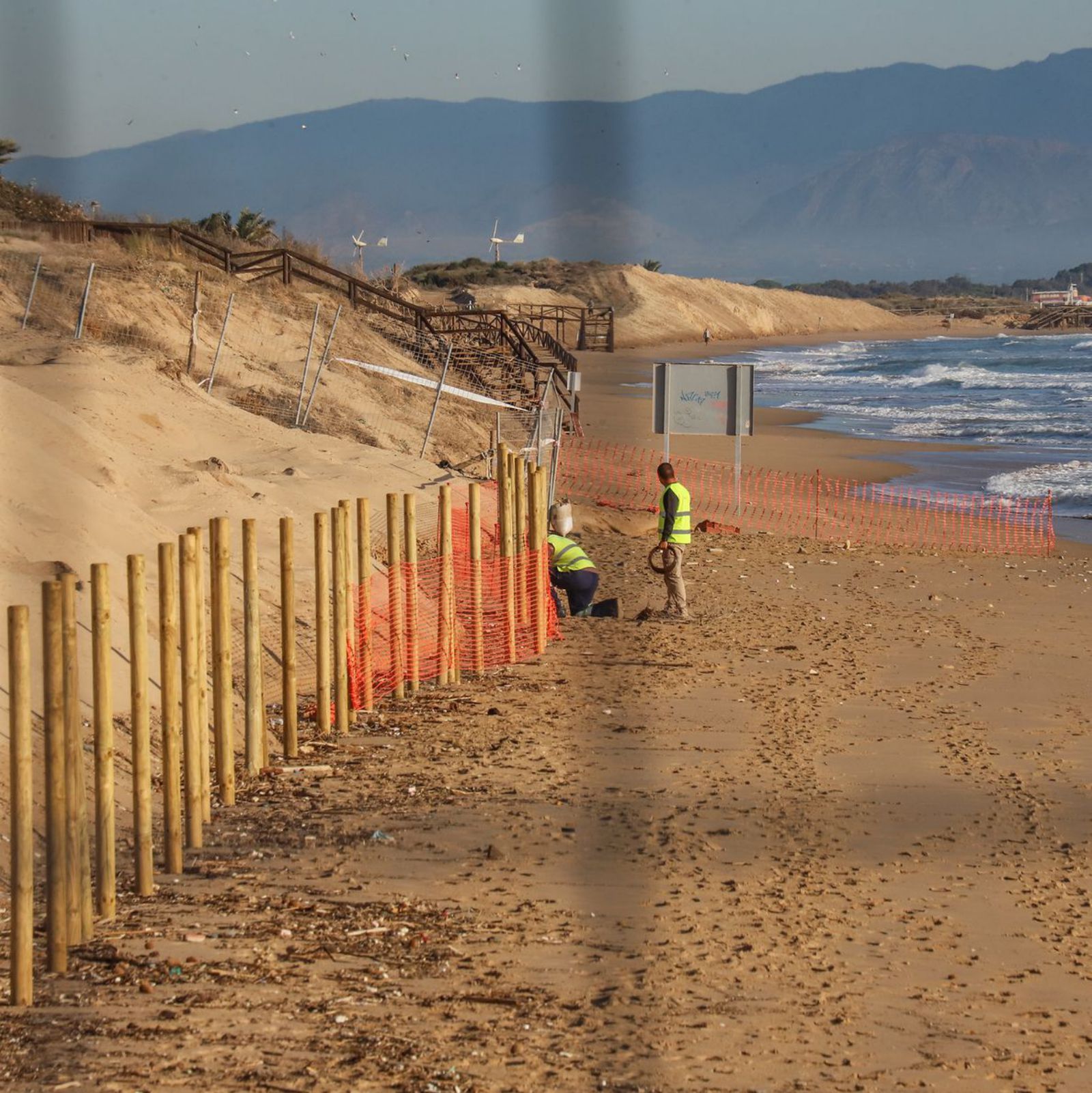 Guardamar recupera 180 metros de la playa de Babilonia y la duna móvil