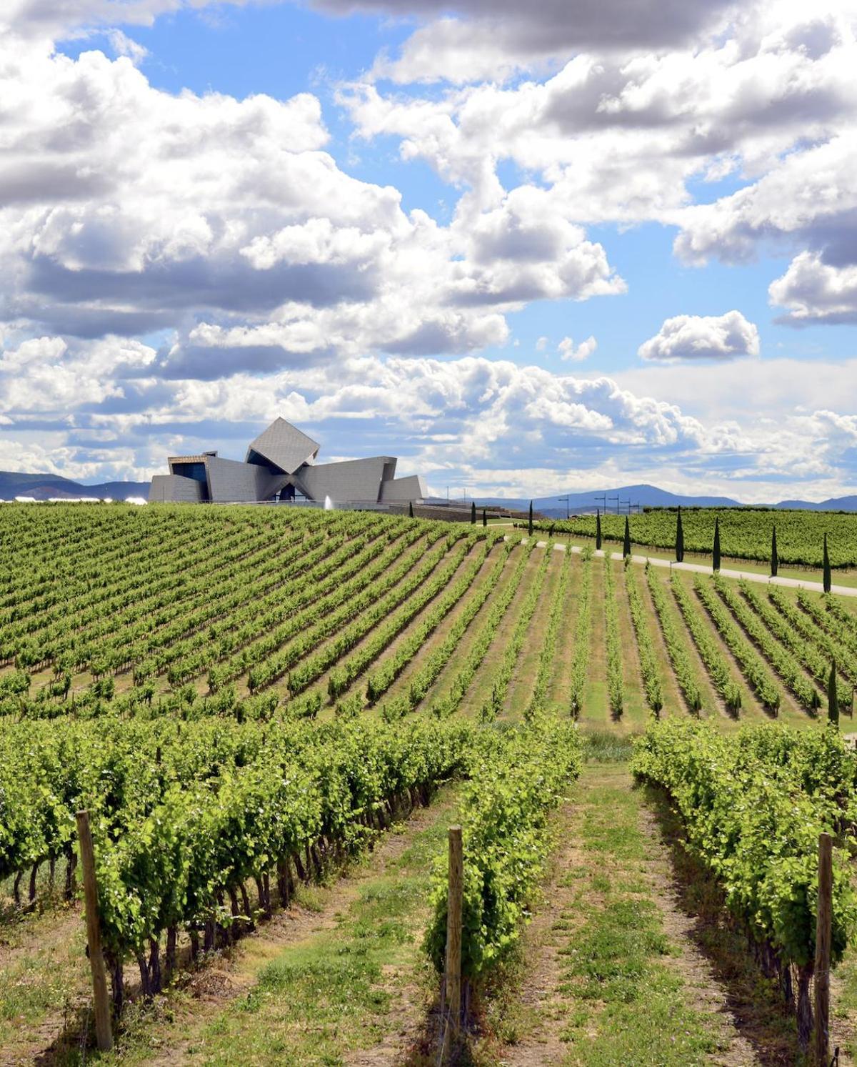 Bodega Sommos, el templo del vino del Somontano.