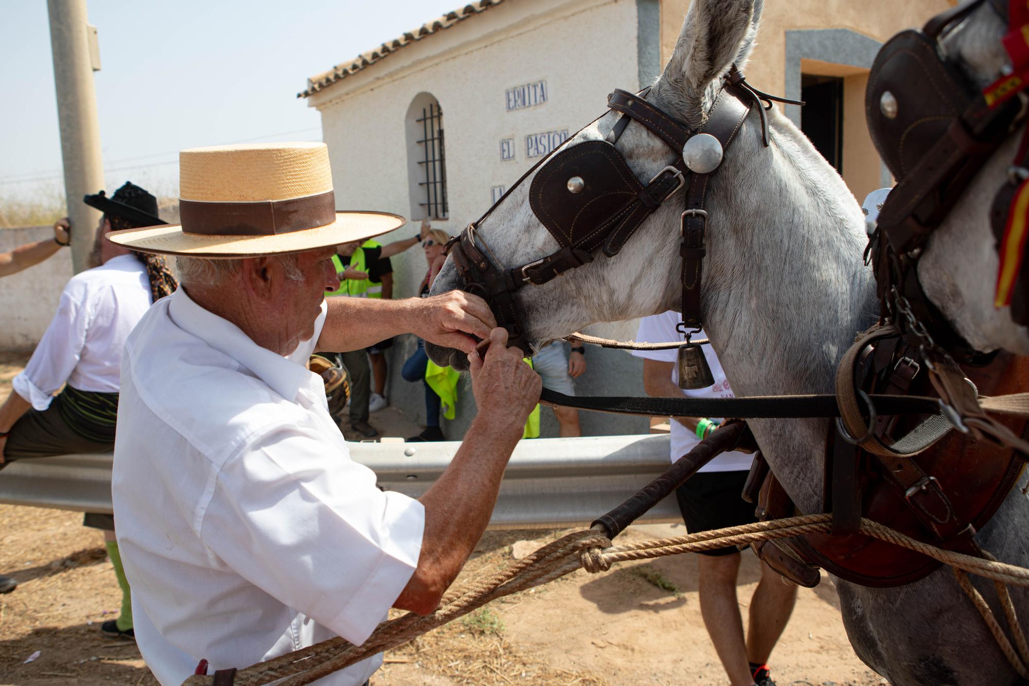 Romería de San Ginés de la Jara 2023