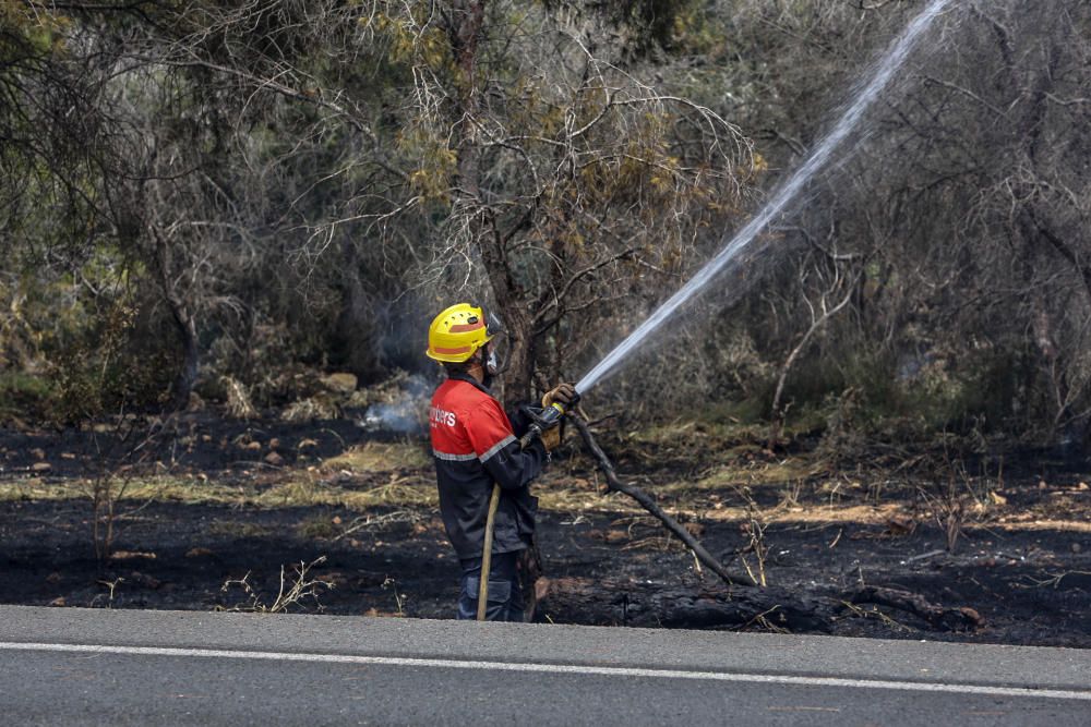 Una imagen del incendio en Santa Pola