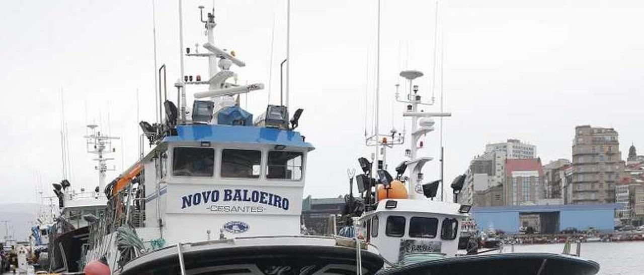 Cerqueros amarrados ayer en O Berbés. // Ricardo Grobas