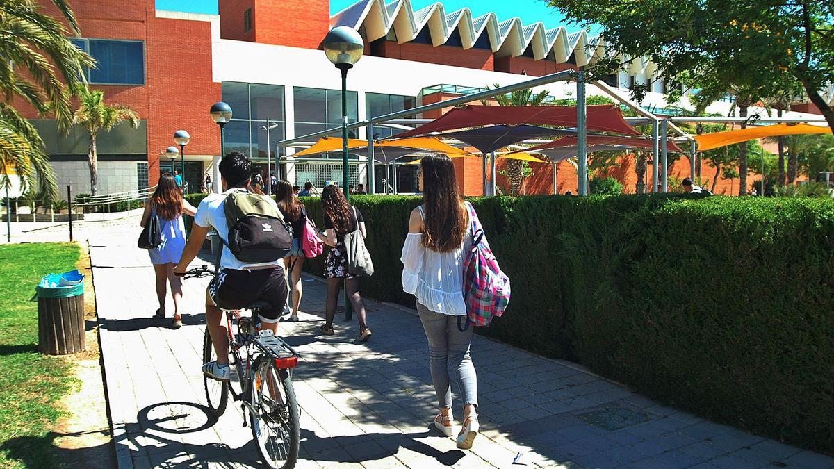 Estudiantes acceden al aulario Altabix del campus de Elche de la UMH en una imagen de finales del pasado curso académico. | ANTONIO AMORÓS