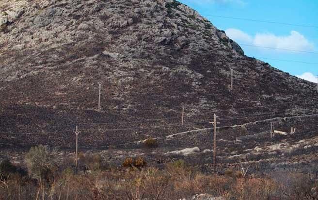 Pollença nach dem Waldbrand