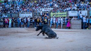 CARDONA . CORRE DE BOU . FESTA MAJOR