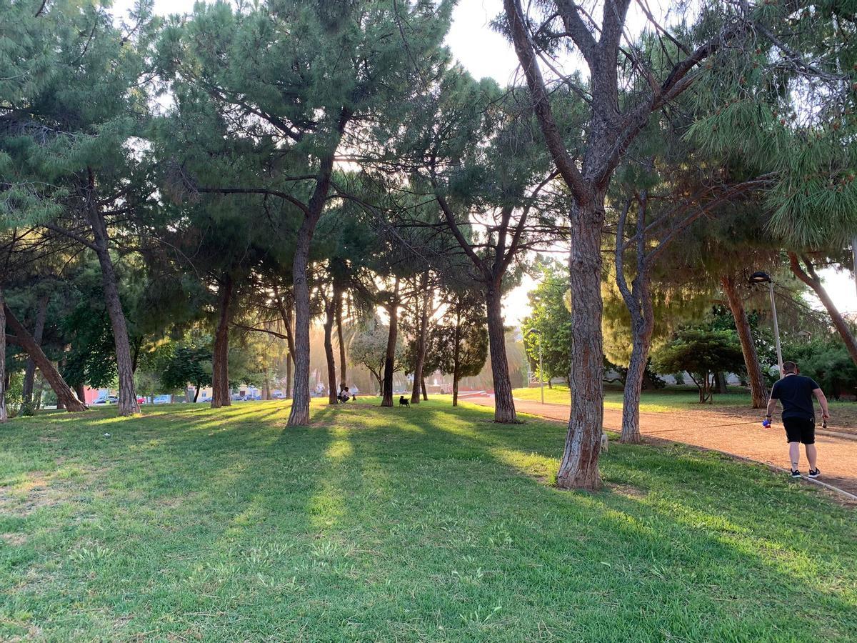 Explanada del Parque Lineal, donde los perros pueden socializar.