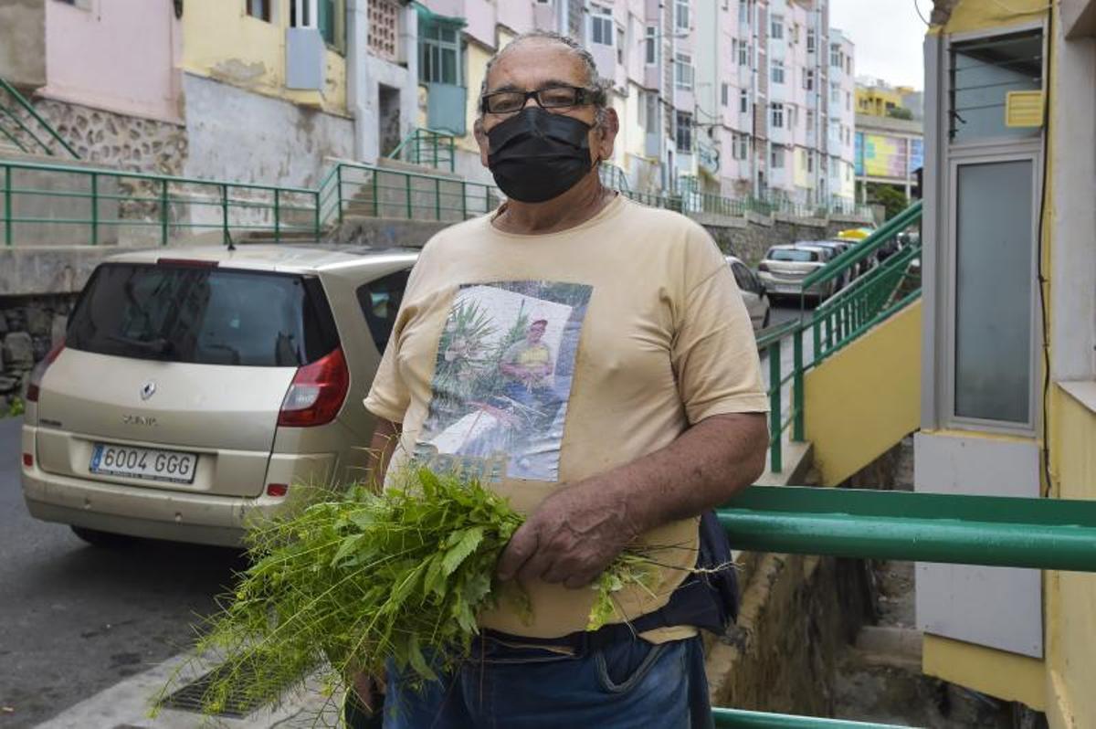 Las Rehoyas, Las Palmas de Gran Canaria Las Rehoyas, Las Palmas de Gran Canaria