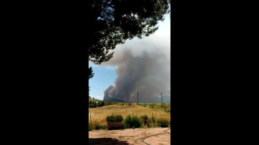 Incendio forestal en Monóvar